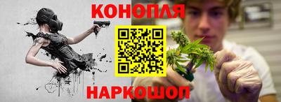тгк Пугачёв