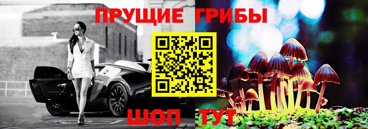 Псилоцибиновые грибы Psilocybine cubensis Туапсе