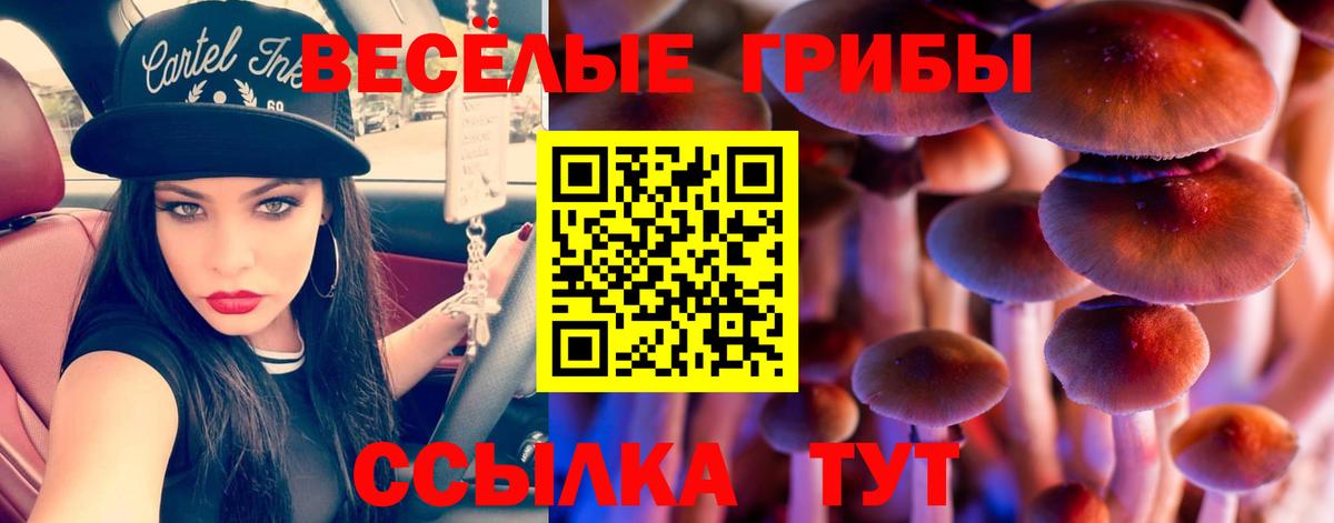 наркошоп  Псилоцибиновые грибы MAGIC MUSHROOMS  Туапсе  Вход с VPN  Псилоцибиновые грибы GOLDEN TEACHER 